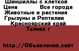 Шиншиллы с клеткой › Цена ­ 8 000 - Все города Животные и растения » Грызуны и Рептилии   . Красноярский край,Талнах г.